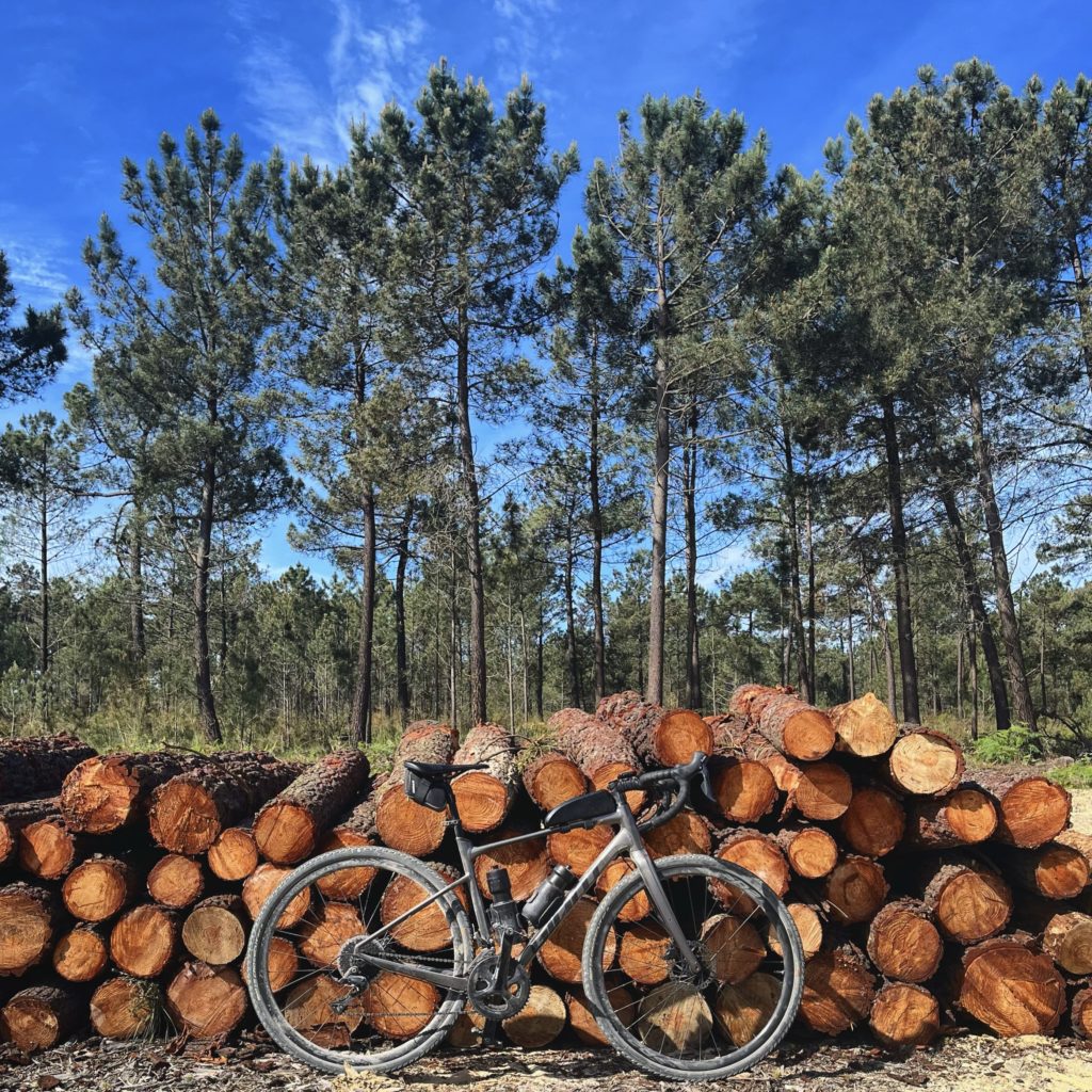 vélo gravel giant revolt arbres