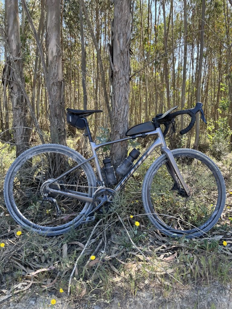 vélo gravel giant revolt arbres bikepacking