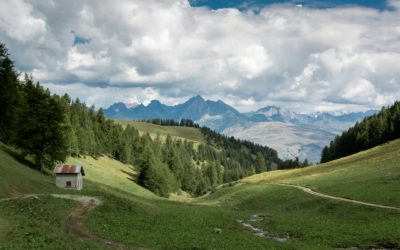 Alps Divide