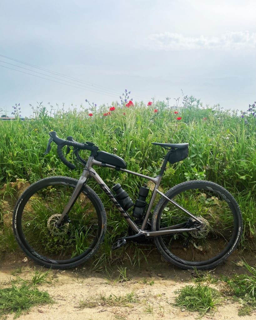 mon vélo gravel giant dans les hautes herbes et fleurs