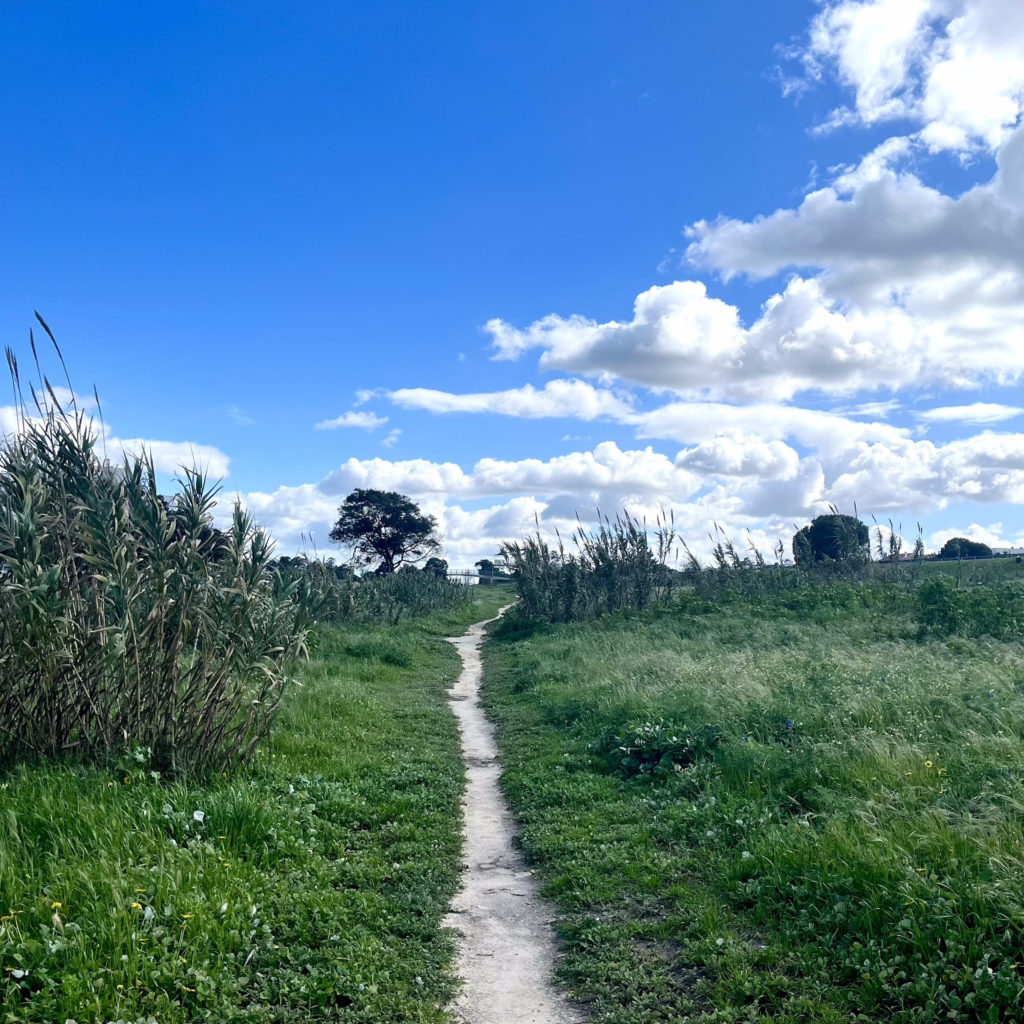 paysage single track bikepacking