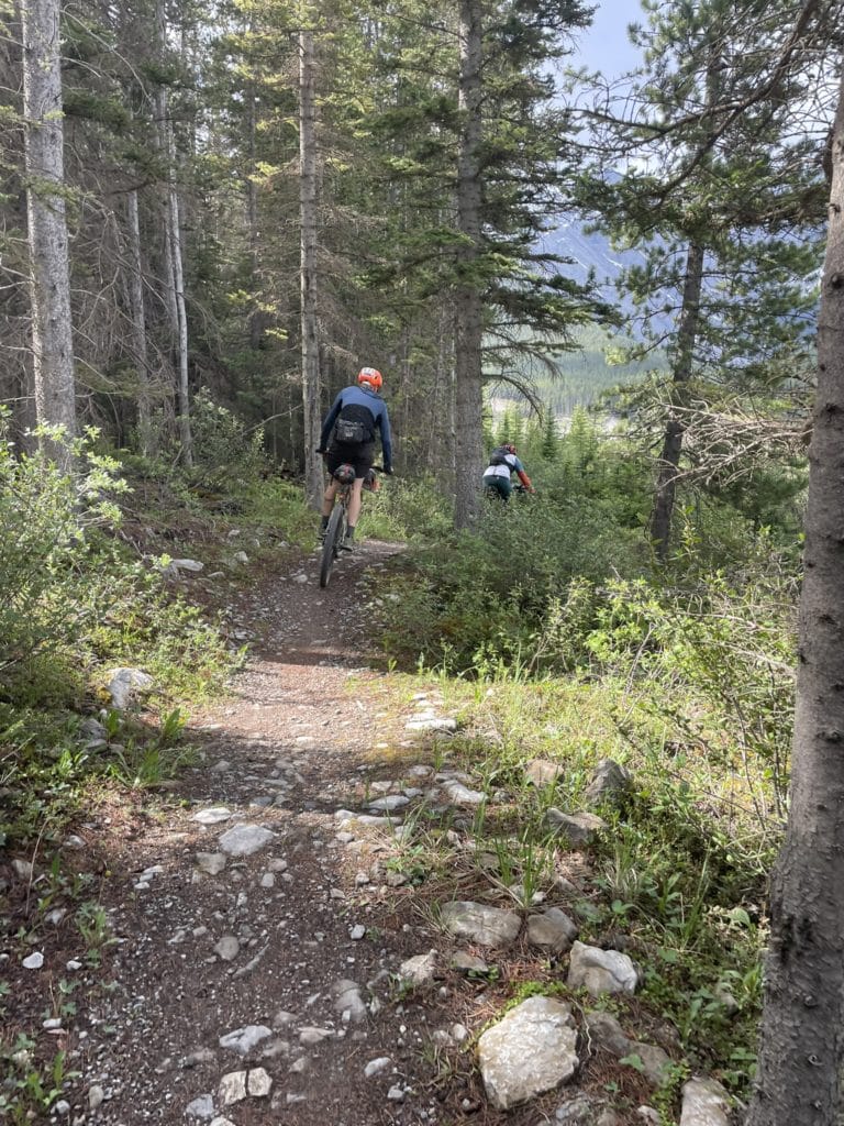 Tour Divide Ride en Forêt