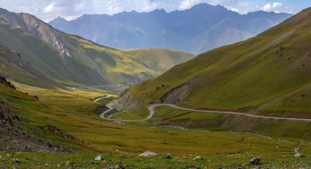 Route sinueuse entre des collines herbeuses vertes