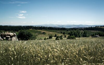 GTMC Bikepacking : le guide complet VTT & Gravel pour traverser le Massif Central
